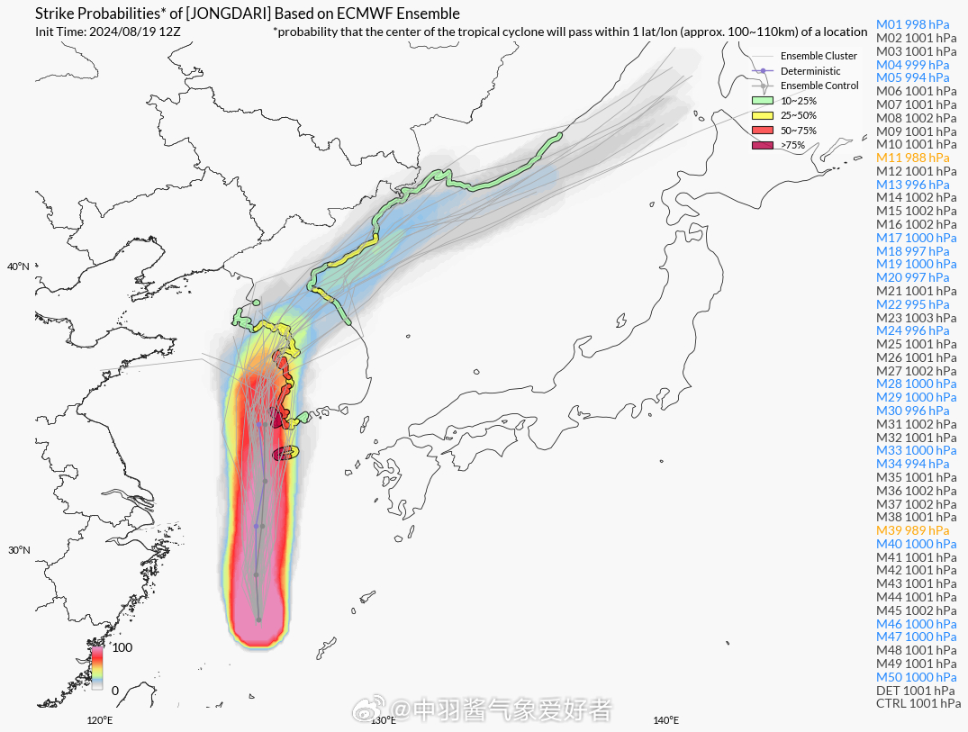 台风云雀最新消息，动态分析与影响评估