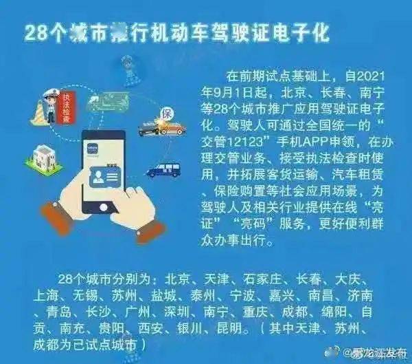 管家婆一码一肖一种大全，深度解析与精选策略落实