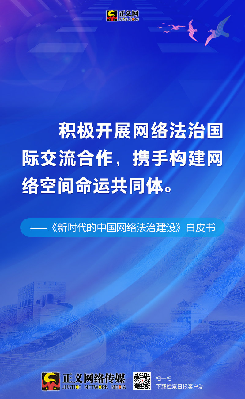 新澳门精准免费大全，解析与落实精选策略