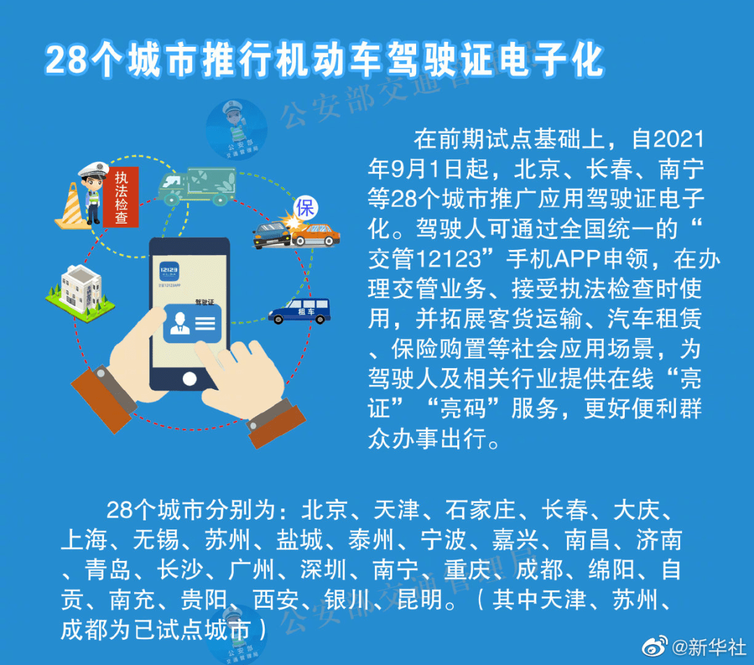 新奥开奖结果解析与落实策略展望（针对2024年）