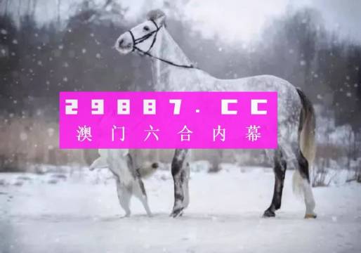 澳门一肖一码，揭秘与解析落实之道