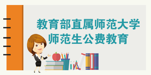 新澳门资料大全解析与落实策略，迈向成功的关键指引（精选版）