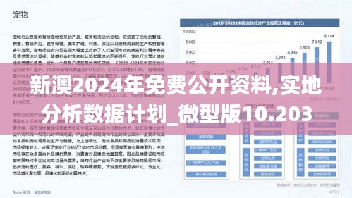 新澳2024年精准资料220期解析与落实策略