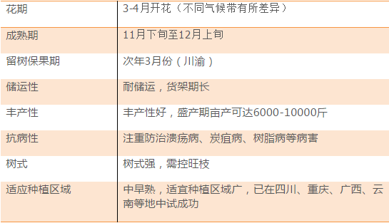 新澳今晚开奖号码预测与解析——精选号码139及其实践应用