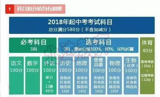 新澳门免费资料大全，历史记录、精选解释解析与落实策略